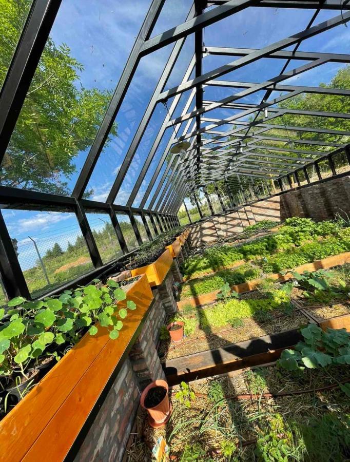 Istvan Parkhotel Es Gasztrofarm Sormás Exterior foto