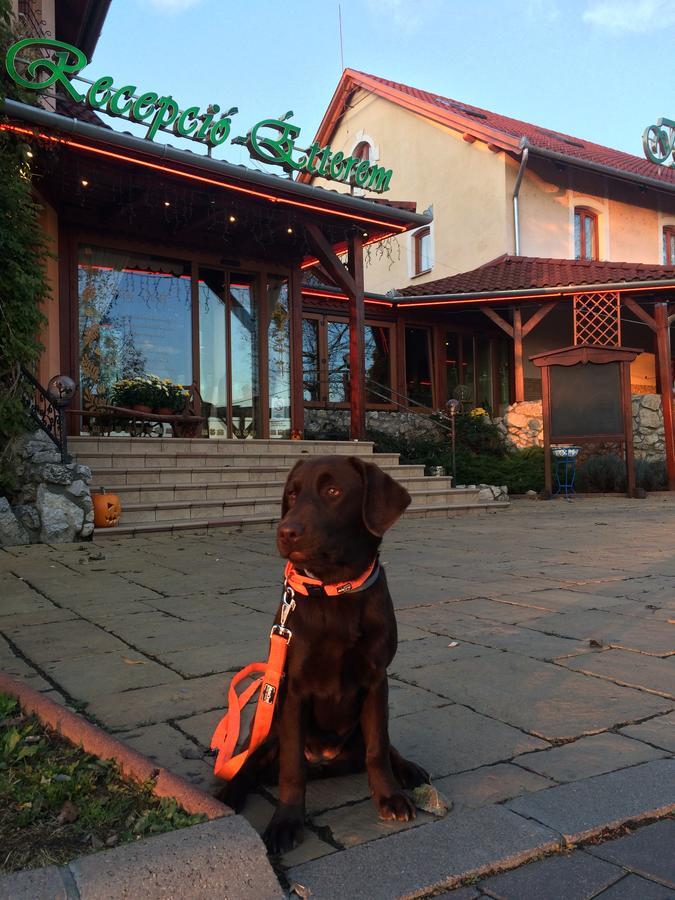Istvan Parkhotel Es Gasztrofarm Sormás Exterior foto